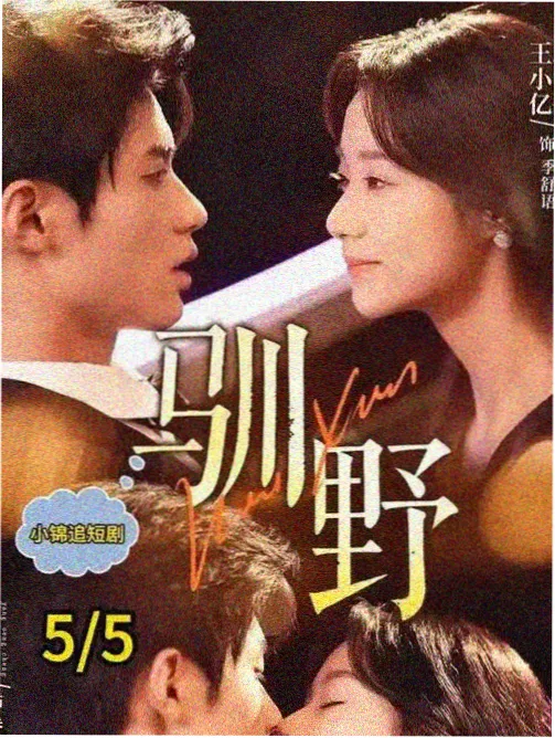深夜书店剧集海报